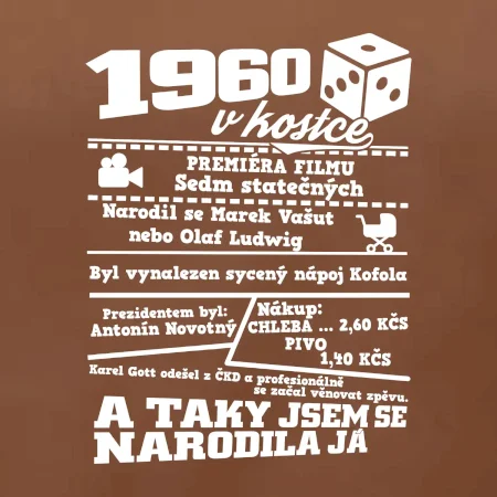 1960 v kostce