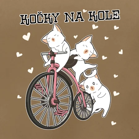 Kočky na kole