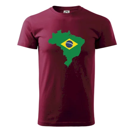 Brazílie vlajka v mapě