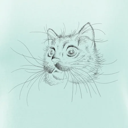 Kočka ilustrace