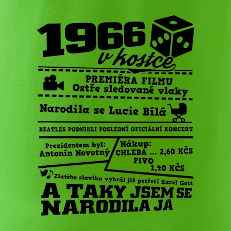 1966 v kostce