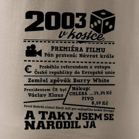 2003 v kostce