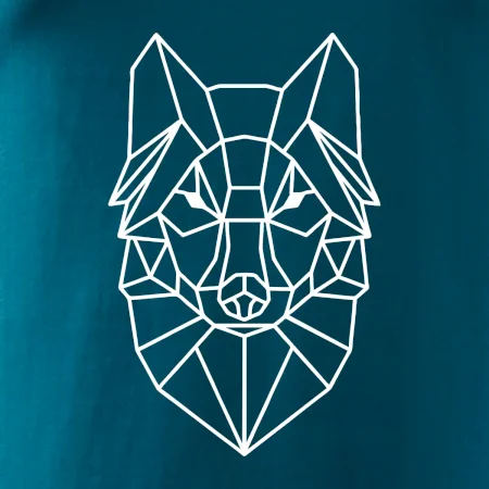 Geometrie - vlk