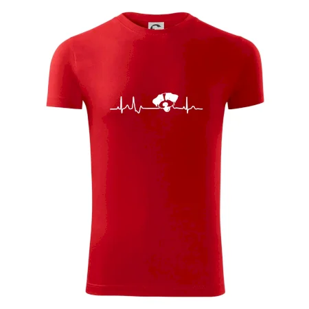 Jack Russell Terriér hrubosrstý Ekg