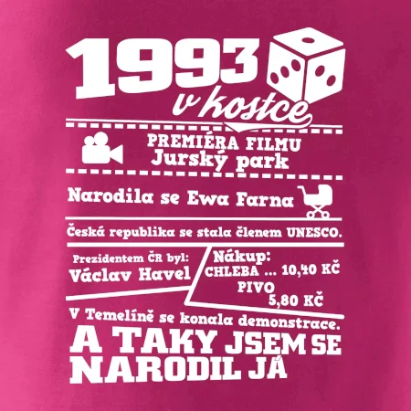 1993 v kostce