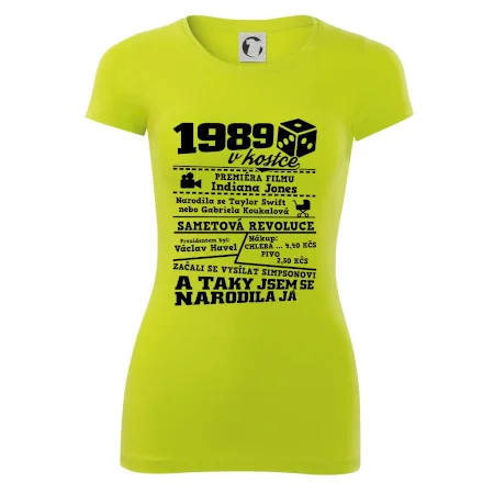 1989 v kostce