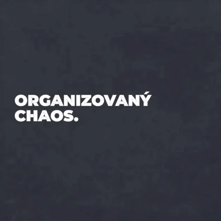 ORGANIZOVANÝ CHAOS.