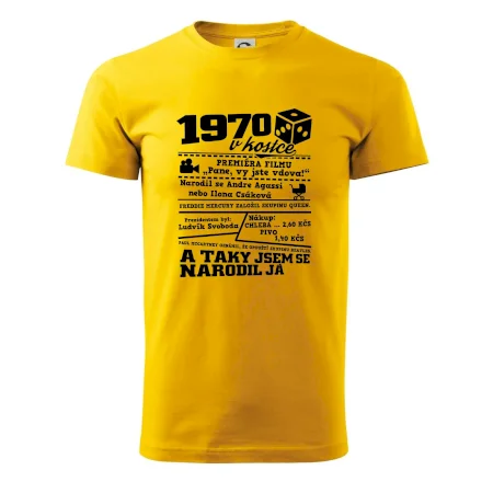1970 v kostce