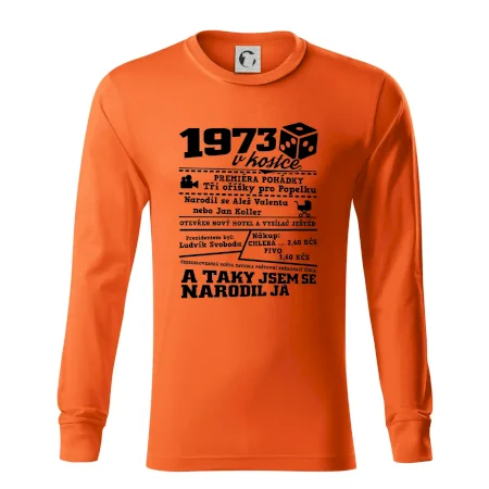 1973 v kostce