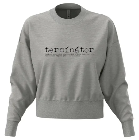 Čeština 2.0 - termínátor