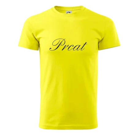 Prcat (souložit vulgárně)