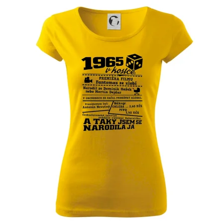 1965 v kostce