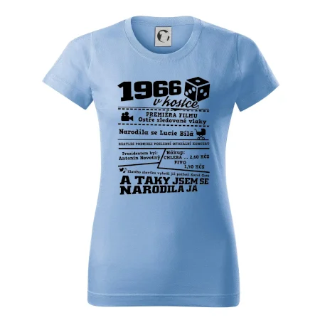 1966 v kostce