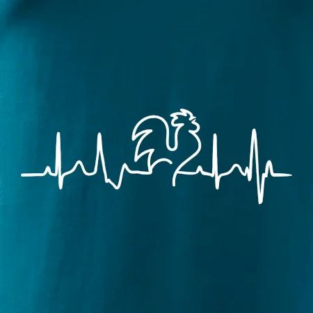 Kohout ekg