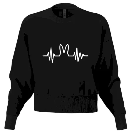 EKG zajíc