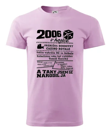 2006 v kostce