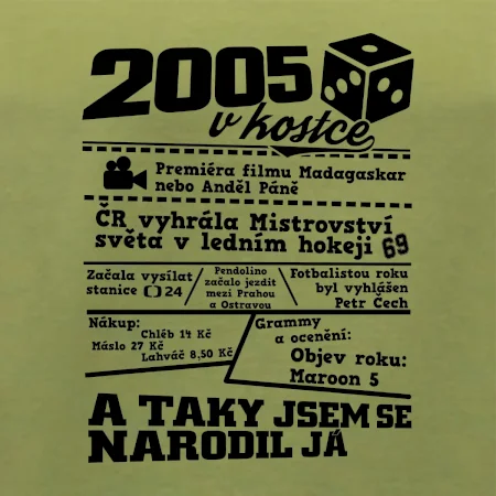 2005 v kostce