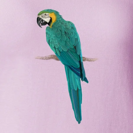 Ara