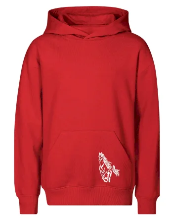 Kůň běžící