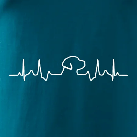 Labrador EKG
