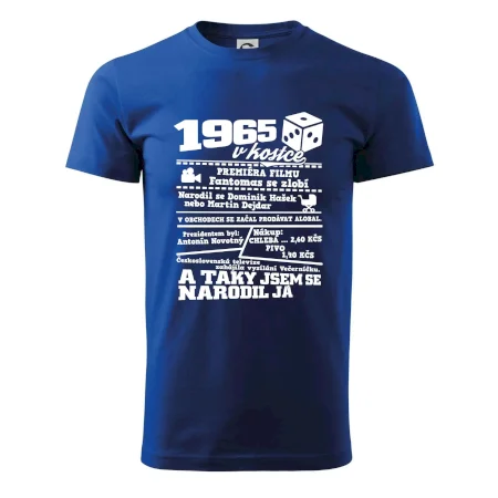 1965 v kostce