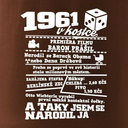 1961 v kostce
