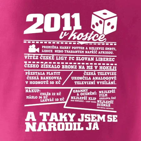 2011 v kostce
