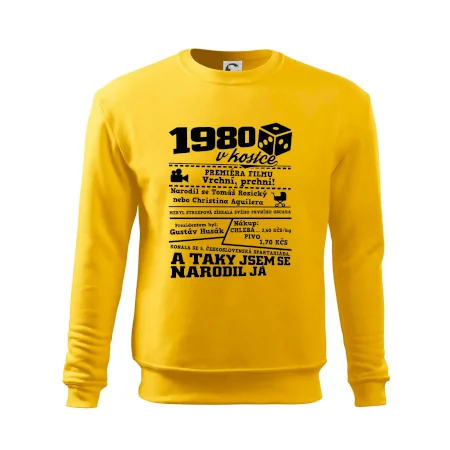 1980 v kostce