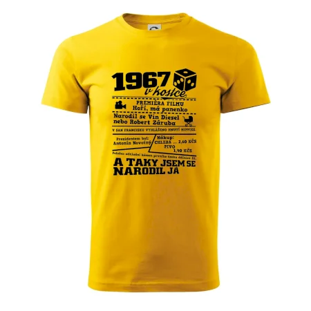 1967 v kostce