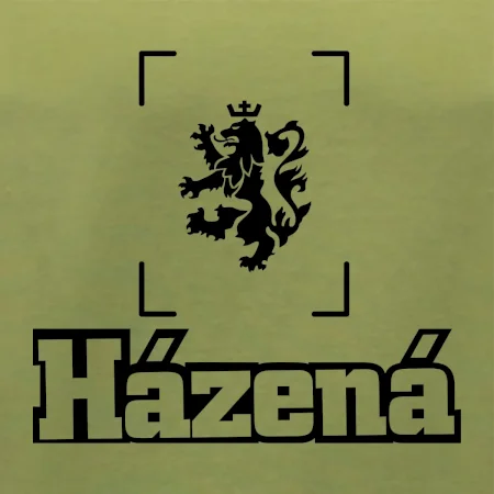 Národní házená lev