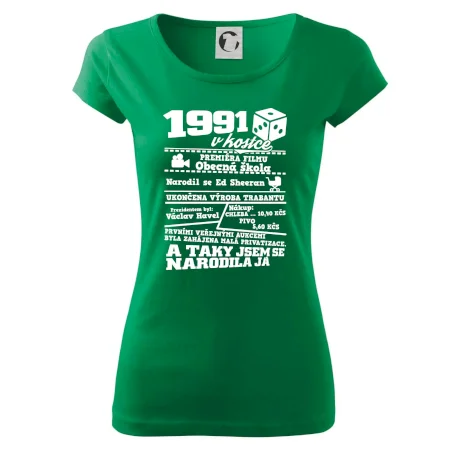 1991 v kostce