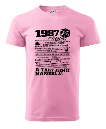 1987 v kostce