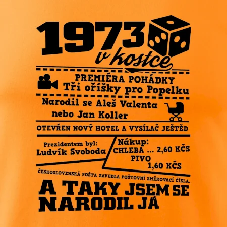 1973 v kostce