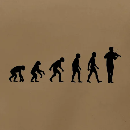 Evoluce houslista