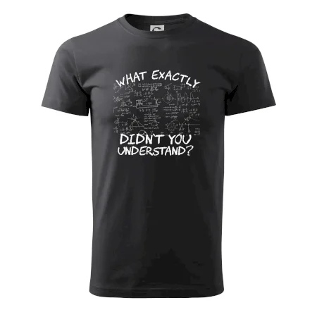 What exactly didnt you understand - physics