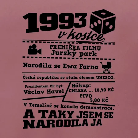 1993 v kostce