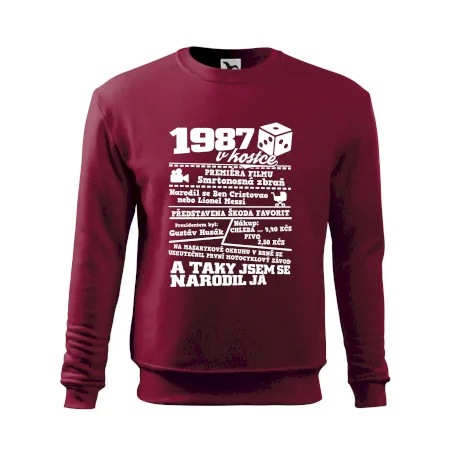 1987 v kostce