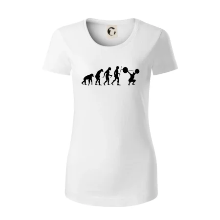 Evolution fitness