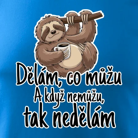 Dělám, co můžu. A když nemůžu, tak nedělám.