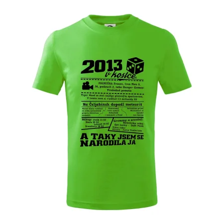 2013 v kostce