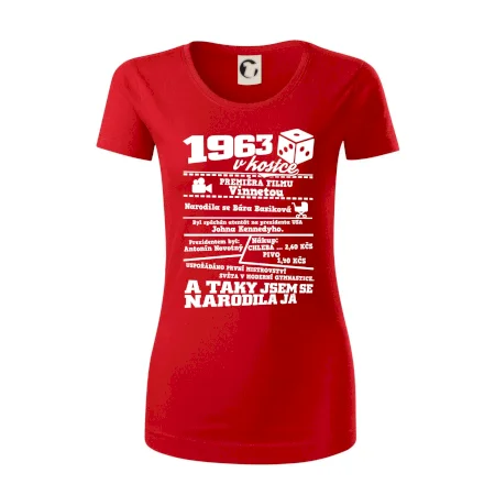 1963 v kostce