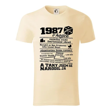 1987 v kostce