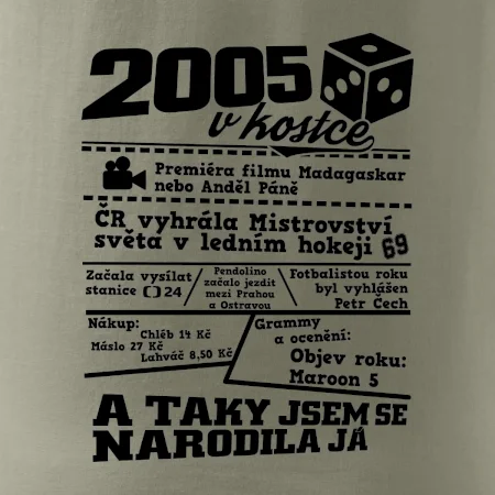 2005 v kostce