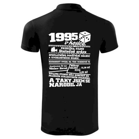 1995 v kostce