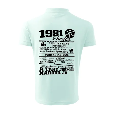 1981 v kostce