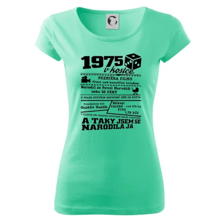 1975 v kostce