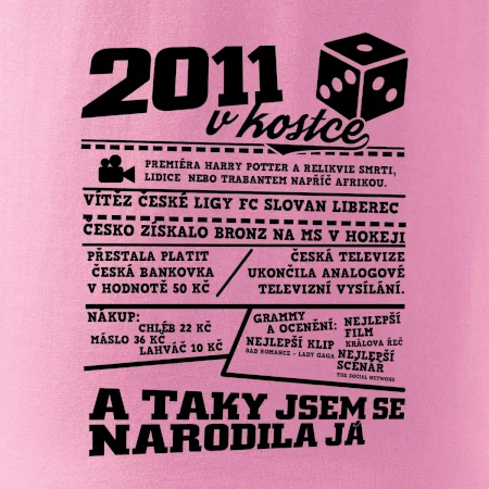 2011 v kostce