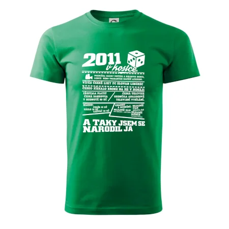 2011 v kostce