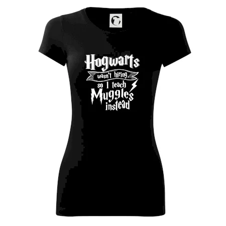Harry - Hogwarts wasn’t hiring, so I teach Muggles instead