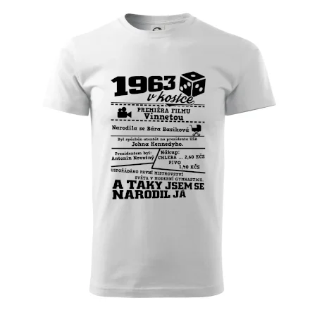 1963 v kostce